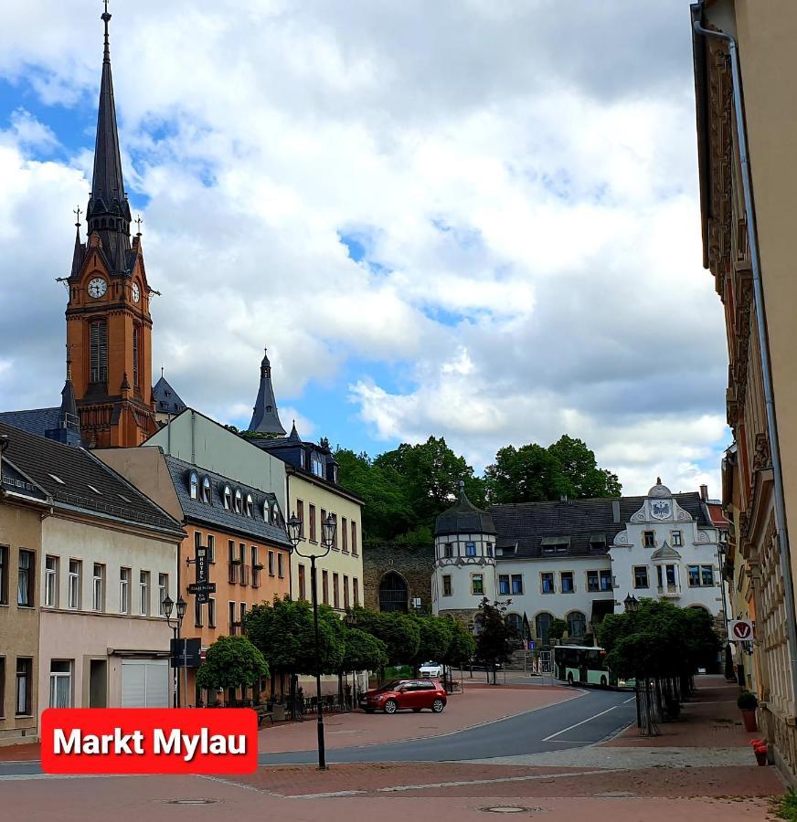 Ferienwohnung "Blick Mylau" - Naehe Freizeitpark Plohn & Weltgroesster Ziegelsteinbruecke Reichenbach im Vogtland Bagian luar foto