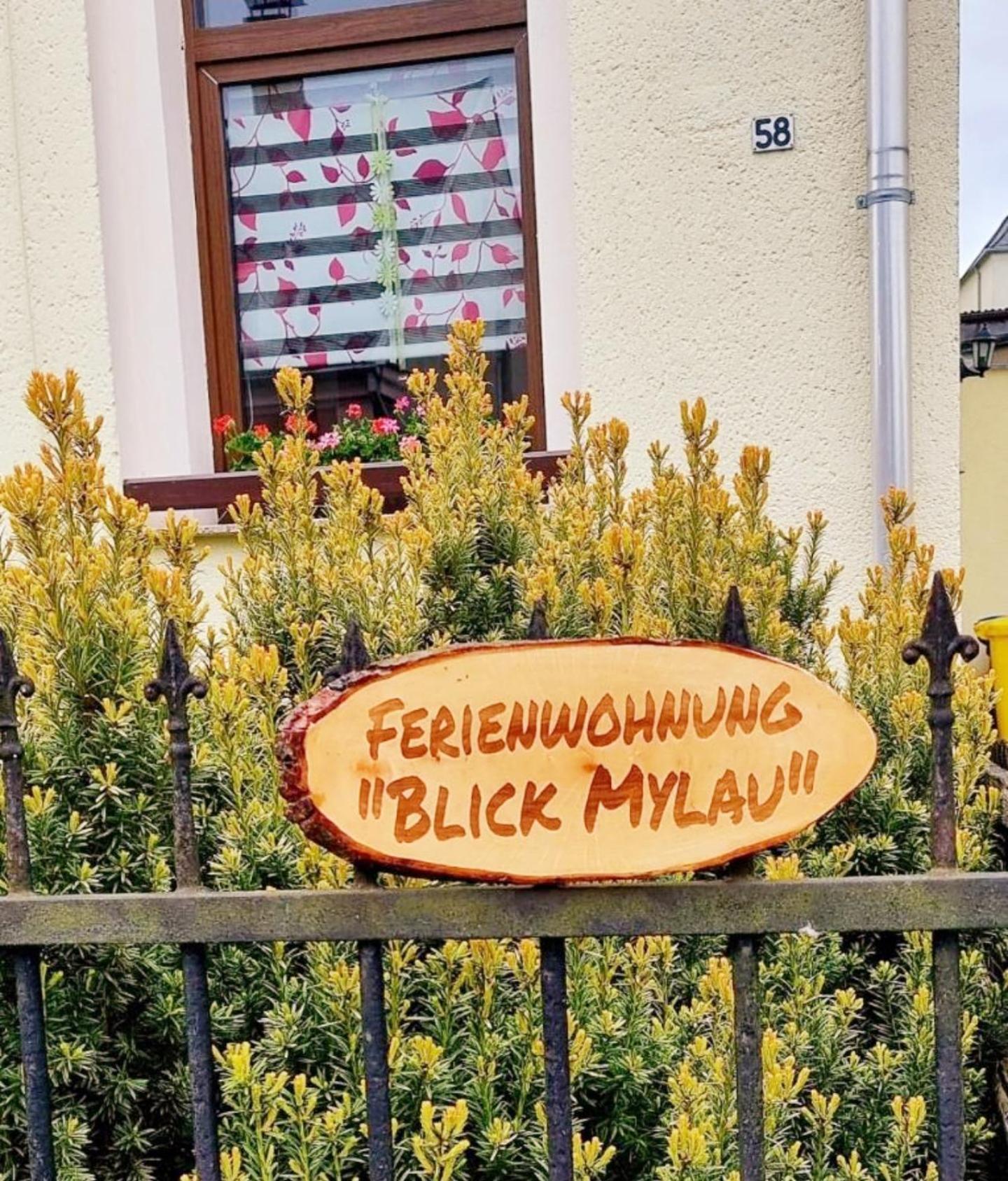 Ferienwohnung "Blick Mylau" - Naehe Freizeitpark Plohn & Weltgroesster Ziegelsteinbruecke Reichenbach im Vogtland Bagian luar foto