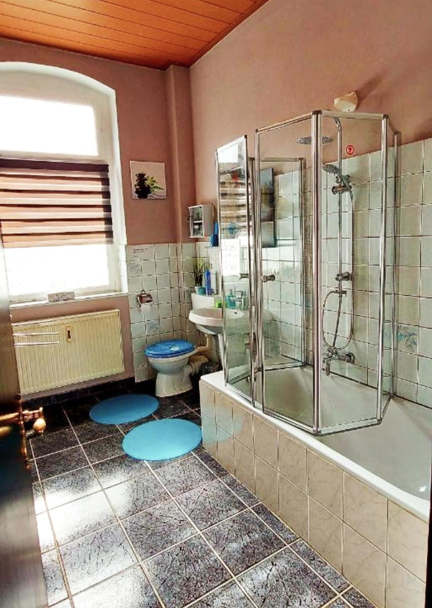 Ferienwohnung "Blick Mylau" - Naehe Freizeitpark Plohn & Weltgroesster Ziegelsteinbruecke Reichenbach im Vogtland Bagian luar foto